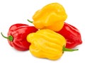 Yellow and red habanero chili hot peppers isolated on white background. clipping path Royalty Free Stock Photo