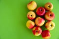 Yellow-red juicy fresh apples lie on a green background. Fresh fruit from the garden. Diet