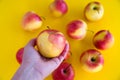Yellow-red juicy fresh apples lie on a yellow background. Fresh fruit from the garden. Hold an apple in your hand. Diet