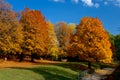 Yellow and red leafs on trees in autumn, october