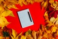 Yellow and red leaves autumn background notepad notes postcard Royalty Free Stock Photo