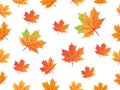 Yellow red maple leaf vector seamless pattern for wallpaper, background, cover, greeting card, fabric textile Royalty Free Stock Photo