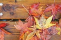 Yellow and red maple leaves on a wooden bench. Background Royalty Free Stock Photo