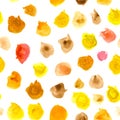 Yellow, red, orange and brown watercolor stains on white background. Seamless pattern Royalty Free Stock Photo