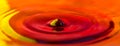 Yellow Red and Orange Splash Water Drop Royalty Free Stock Photo