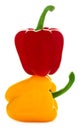 Yellow and red peppers Royalty Free Stock Photo