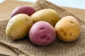 Yellow and red potatoes on gunny sack Royalty Free Stock Photo