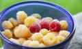 Yellow and red raspberries in a blue Cup Royalty Free Stock Photo