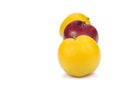 Yellow,Red Ripe plum on white background. Royalty Free Stock Photo
