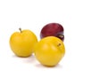 Yellow,Red Ripe plum on white background. Royalty Free Stock Photo