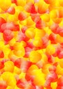 Yellow and red rose petals Royalty Free Stock Photo