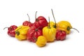 Yellow and red Scotch bonnet chili peppers