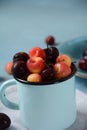 Yellow and red sweet cherries. Royalty Free Stock Photo