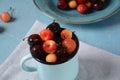 Yellow and red sweet cherries. Royalty Free Stock Photo