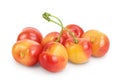 Yellow-red sweet cherry isolated on white background with clipping path and full depth of field Royalty Free Stock Photo