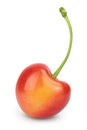 Yellow-red sweet cherry isolated on white background with clipping path and full depth of field Royalty Free Stock Photo