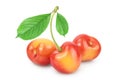 Yellow-red sweet cherry isolated on white background with clipping path and full depth of field Royalty Free Stock Photo