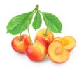 Yellow-red sweet cherry isolated on white background with clipping path and full depth of field Royalty Free Stock Photo