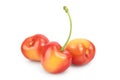 Yellow-red sweet cherry isolated on white background with clipping path and full depth of field Royalty Free Stock Photo