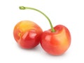 Yellow-red sweet cherry isolated on white background with clipping path and full depth of field Royalty Free Stock Photo