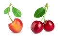 yellow and red sweet cherry isolated on white background with full depth of field. Set or collection. Royalty Free Stock Photo