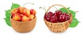 yellow and red sweet cherry in wooden bowl isolated on white background with full depth of field. Set or collection. Royalty Free Stock Photo