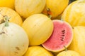 Yellow and red sweet watermelon.Thailand. Royalty Free Stock Photo