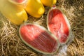 Yellow and red sweet watermelon.Thailand. Royalty Free Stock Photo