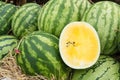 Yellow and red sweet watermelon.Thailand.