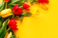 Yellow red tulip flowers bouquet on yellow background, copy space. Banner for seasonal holiday, springtime concept Royalty Free Stock Photo
