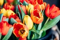 Yellow and red tulips in flower market. Natural background Royalty Free Stock Photo