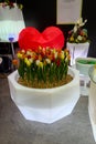 Yellow-red tulips grow in a white plastic flower bed against a background of a red heart
