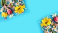 Yellow and red tulips, and white daffodils on a blue background. Royalty Free Stock Photo