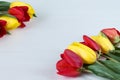 Yellow and red tulips on white wooden board. Background, pattern, texture. Royalty Free Stock Photo