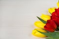 Yellow and red tulips on white wooden board. Background, pattern, texture. Royalty Free Stock Photo