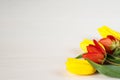 Yellow and red tulips on white wooden board. Background, pattern, texture. Royalty Free Stock Photo