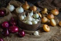 Yellow, red and white onions on a wooden surface