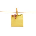 Yellow reminder and violet flower with peg