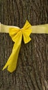 Yellow ribbon tied around tree Royalty Free Stock Photo