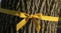 Yellow ribbon tied around tree trunk Royalty Free Stock Photo
