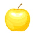 Yellow ripe apple. Fresh juicy glossy fruit vector illustration
