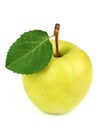 Yellow ripe apple with a leaf Royalty Free Stock Photo
