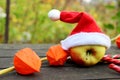 Yellow ripe Apple in a red Santa hat, branch with boxes of orange physalis on a dark woody background