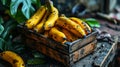 yellow ripe bananas