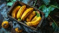 yellow ripe bananas