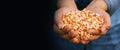 Yellow ripe corn grain in woman farmer hand Royalty Free Stock Photo