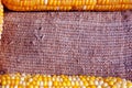 Yellow ripe corn horizontal frame on a rough texture sackcloth background, close up organic texture background