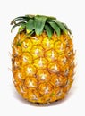 Yellow ripe exotic fruit pineapple for sweet vegetarian dessert. Royalty Free Stock Photo