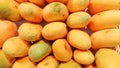 Yellow ripe mango Arranged for sale at the market Royalty Free Stock Photo