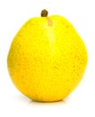 Yellow ripe pear 2